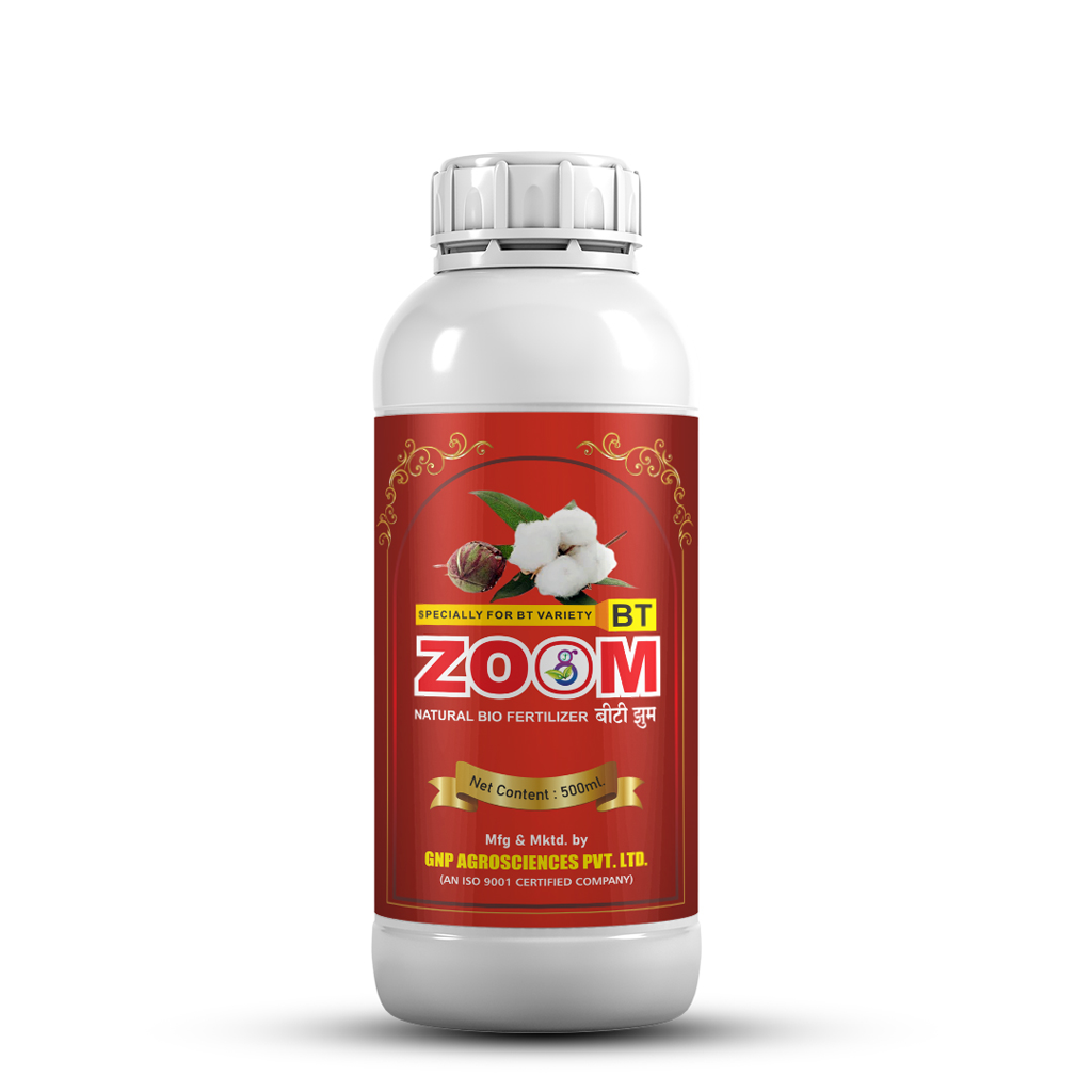 Zoom BT